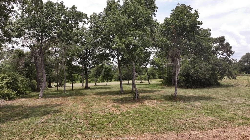 2.26 acres in Grimes County - photo 11