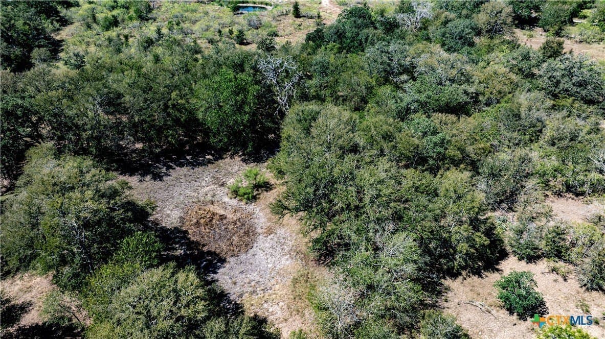 6 acres in Caldwell County gallery image 4