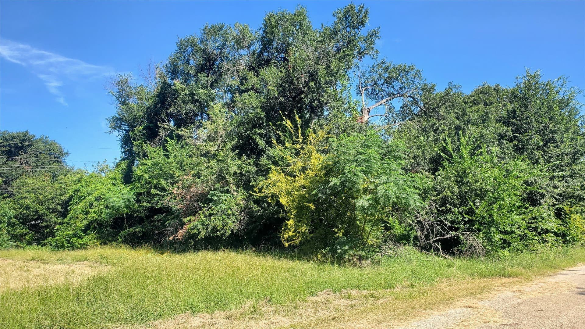 0.1 acres in Henderson County featured view