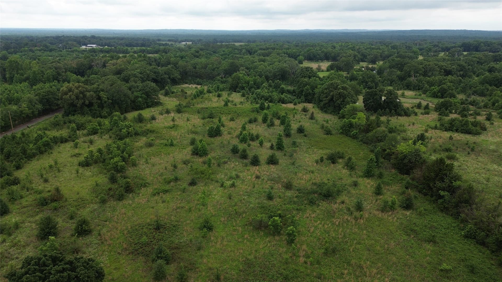 27.92 acres in Wood County - photo 6