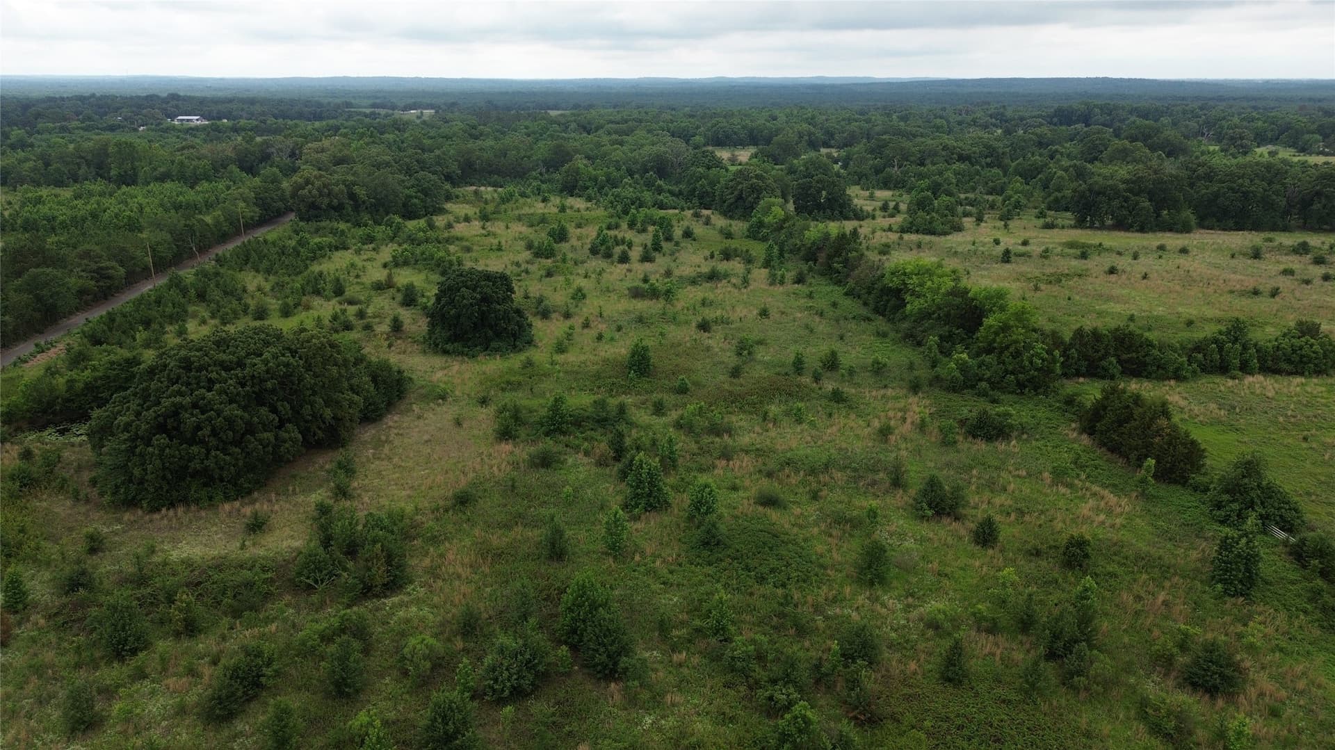 27.92 acres in Wood County gallery image 4
