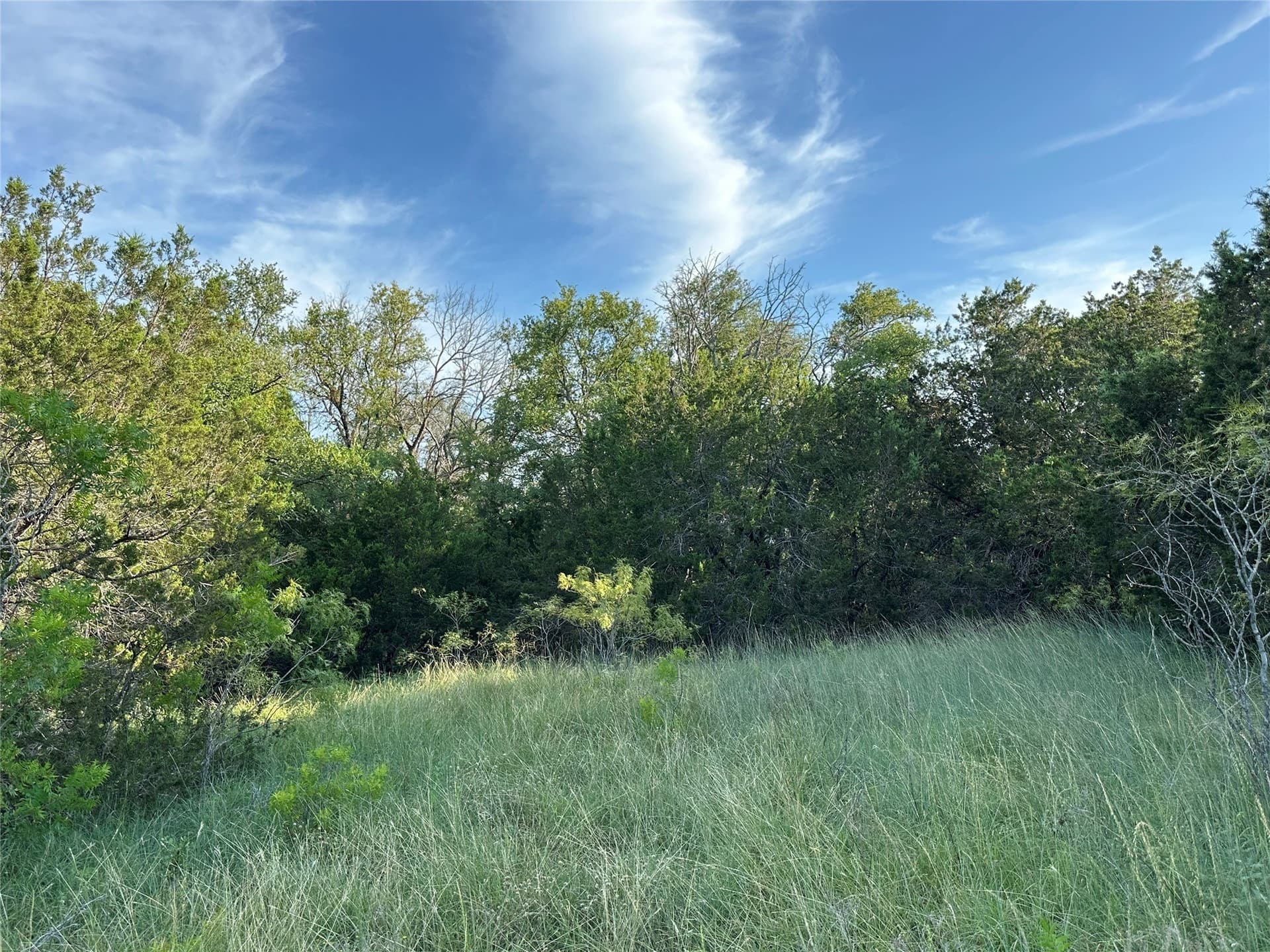 49.6 acres in Hamilton County - photo 21