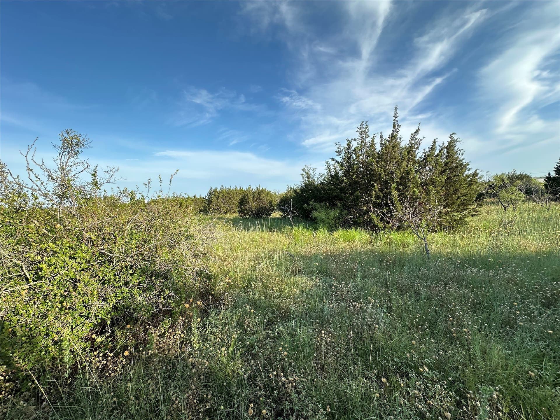 49.6 acres in Hamilton County - photo 30