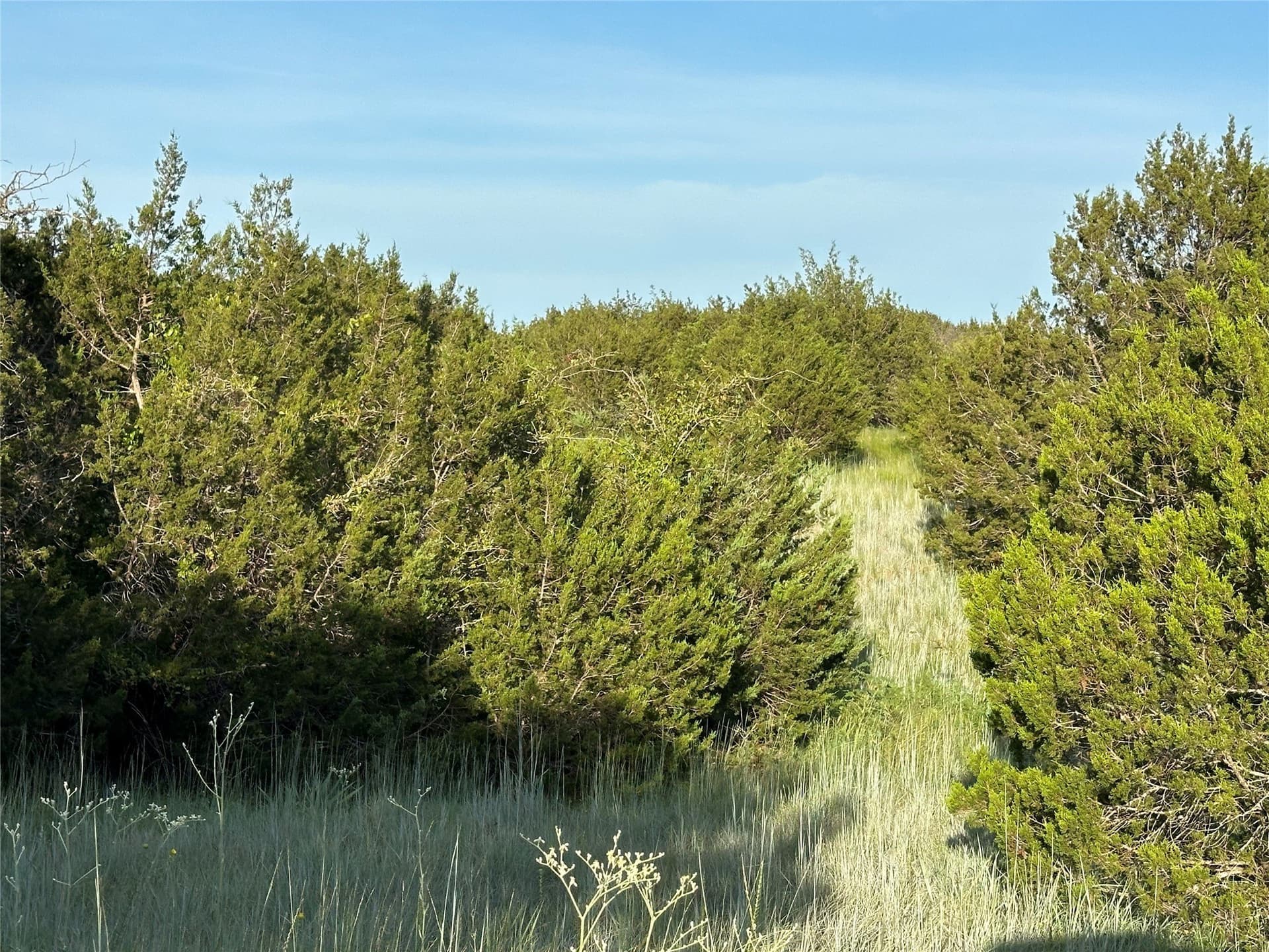 49.6 acres in Hamilton County - photo 22