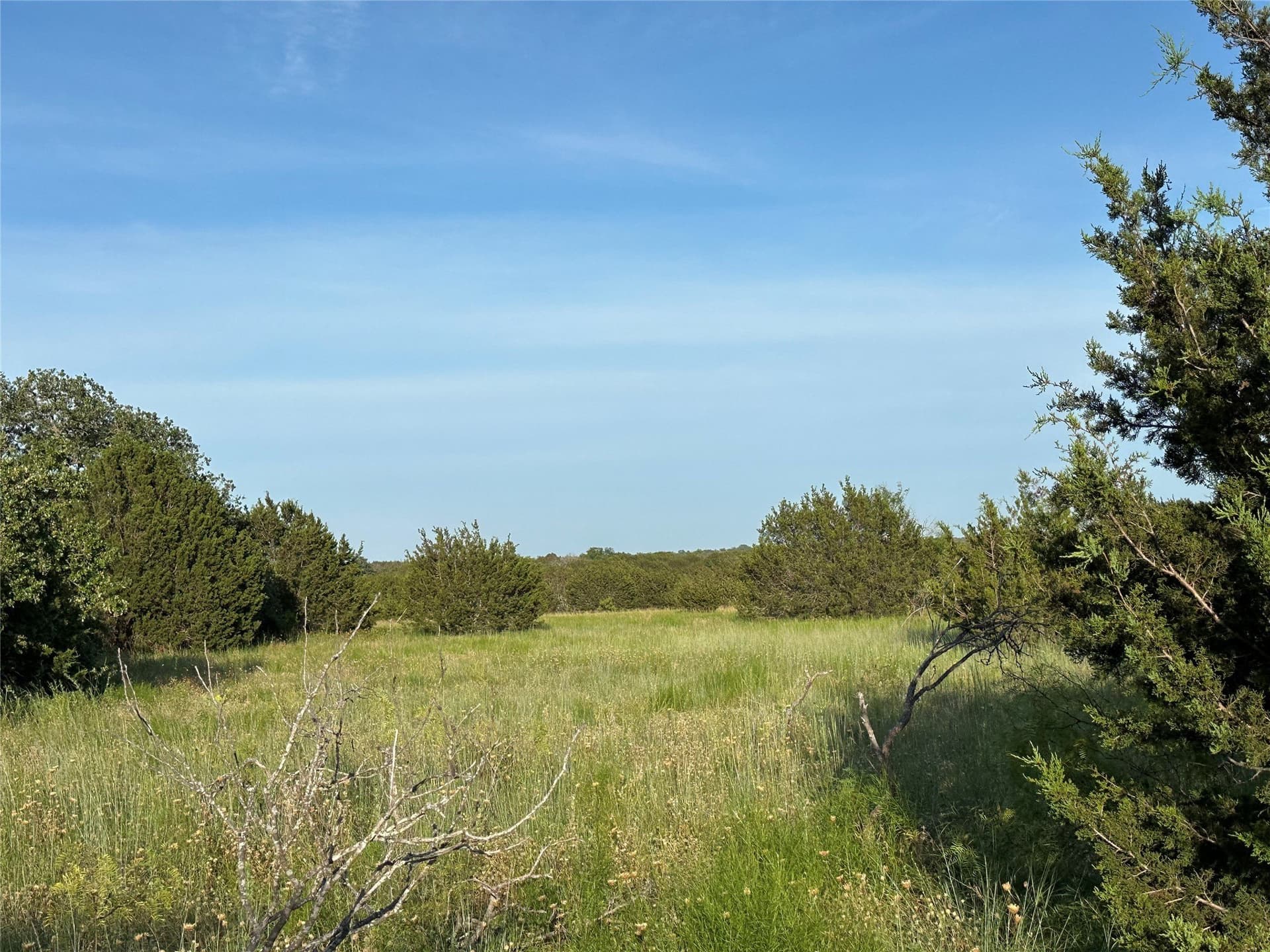 49.6 acres in Hamilton County - photo 31