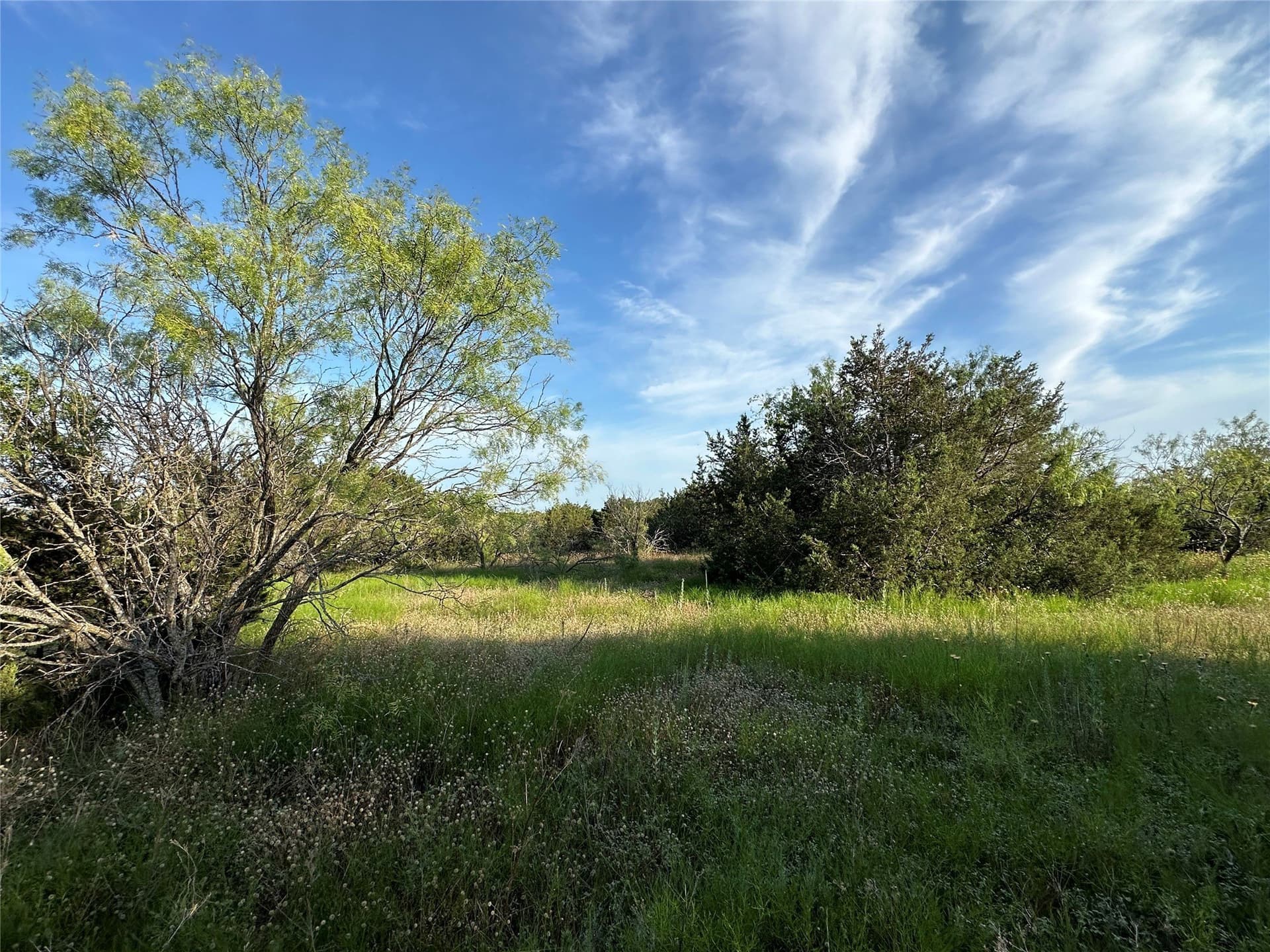 49.6 acres in Hamilton County - photo 28