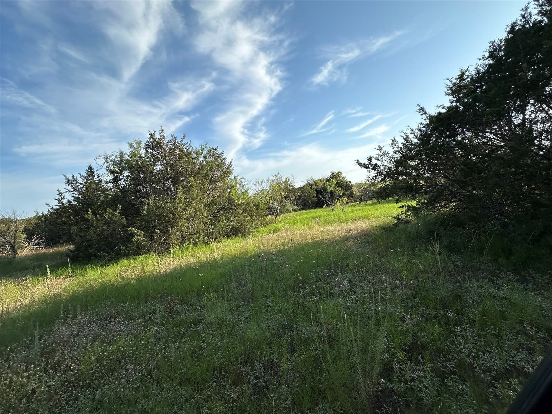 49.6 acres in Hamilton County - photo 29