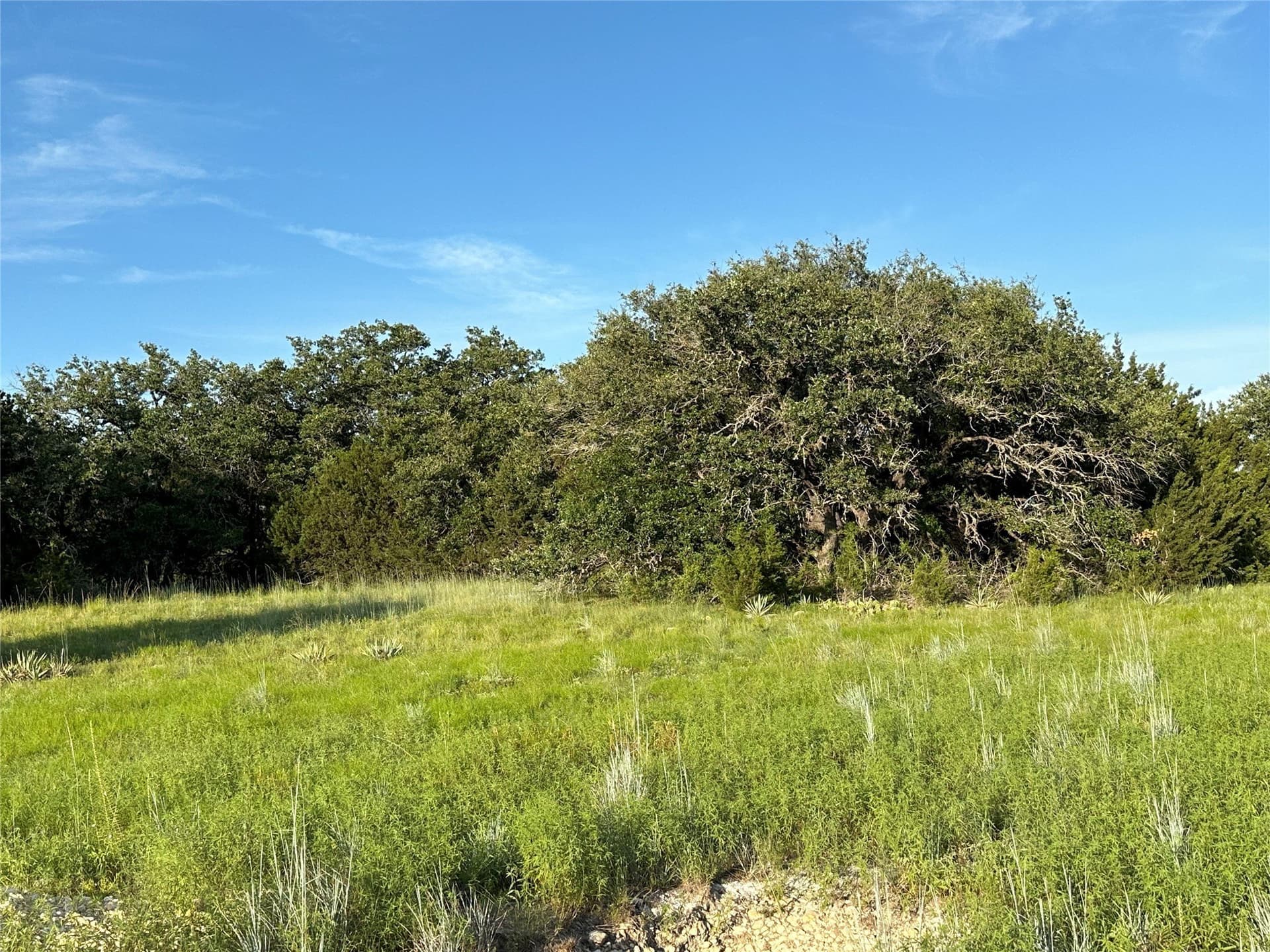 49.6 acres in Hamilton County - photo 20
