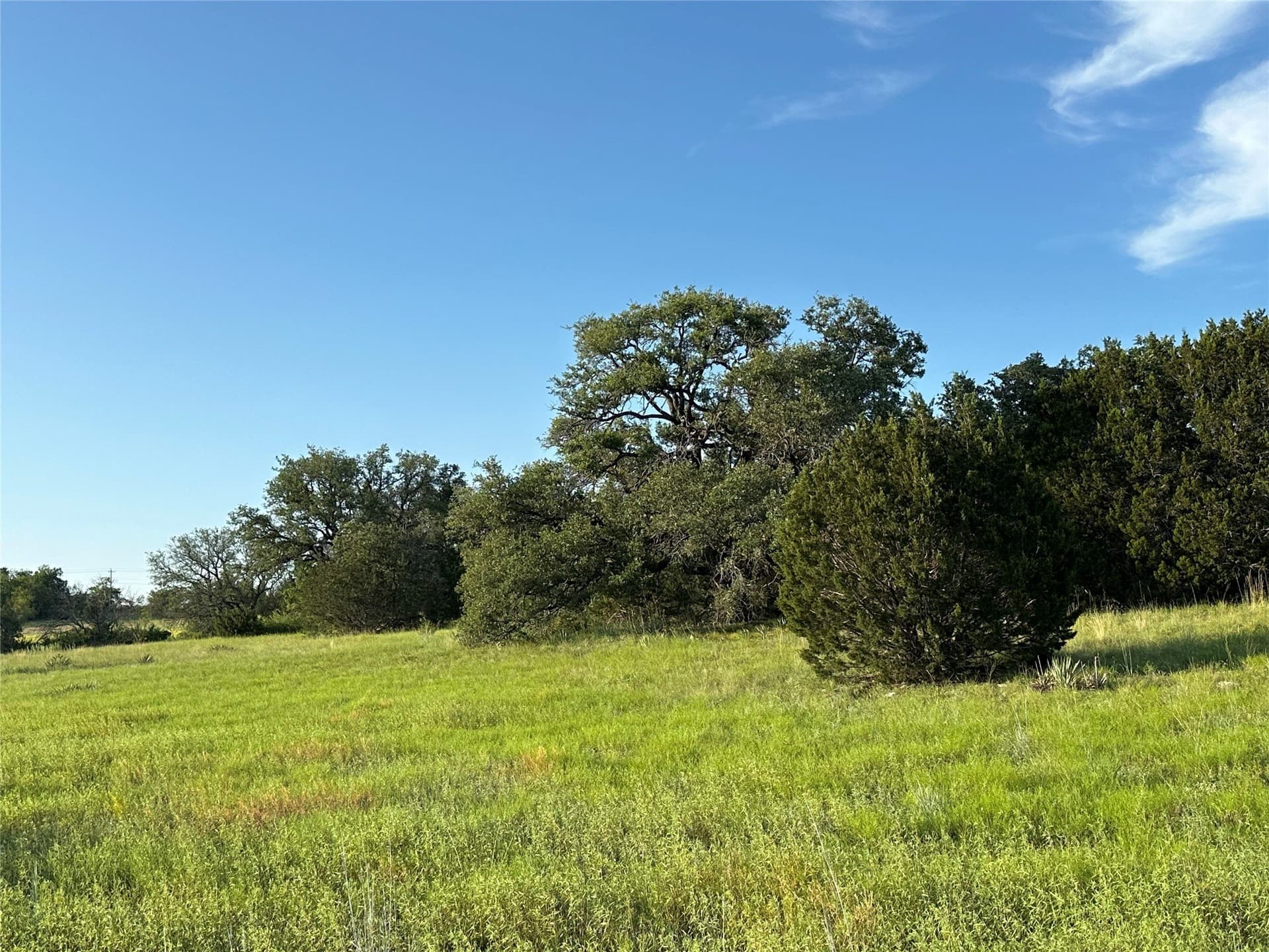49.6 acres in Hamilton County - photo 16
