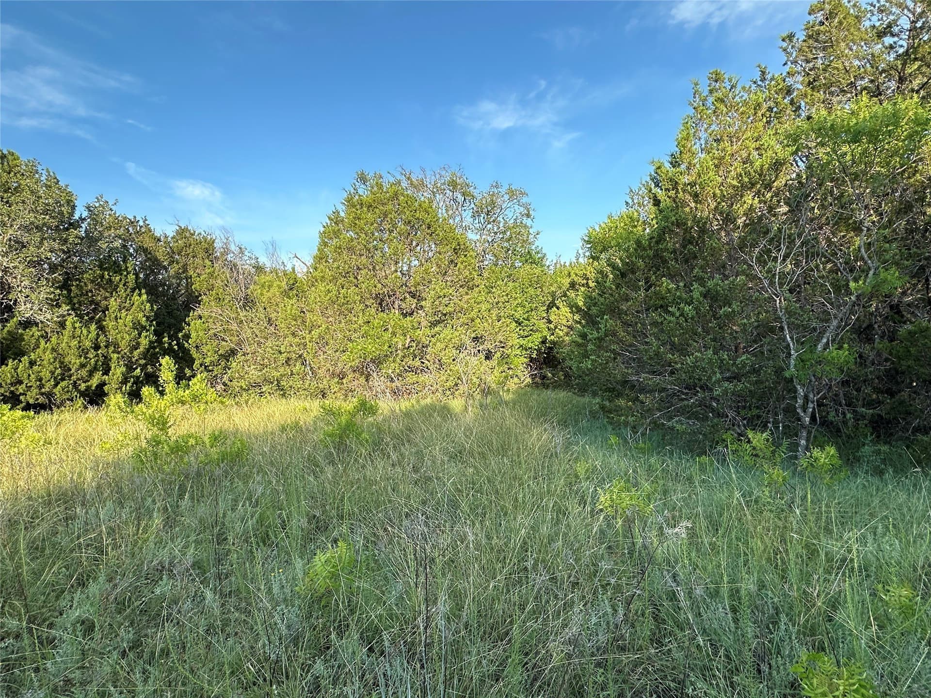 49.6 acres in Hamilton County - photo 23