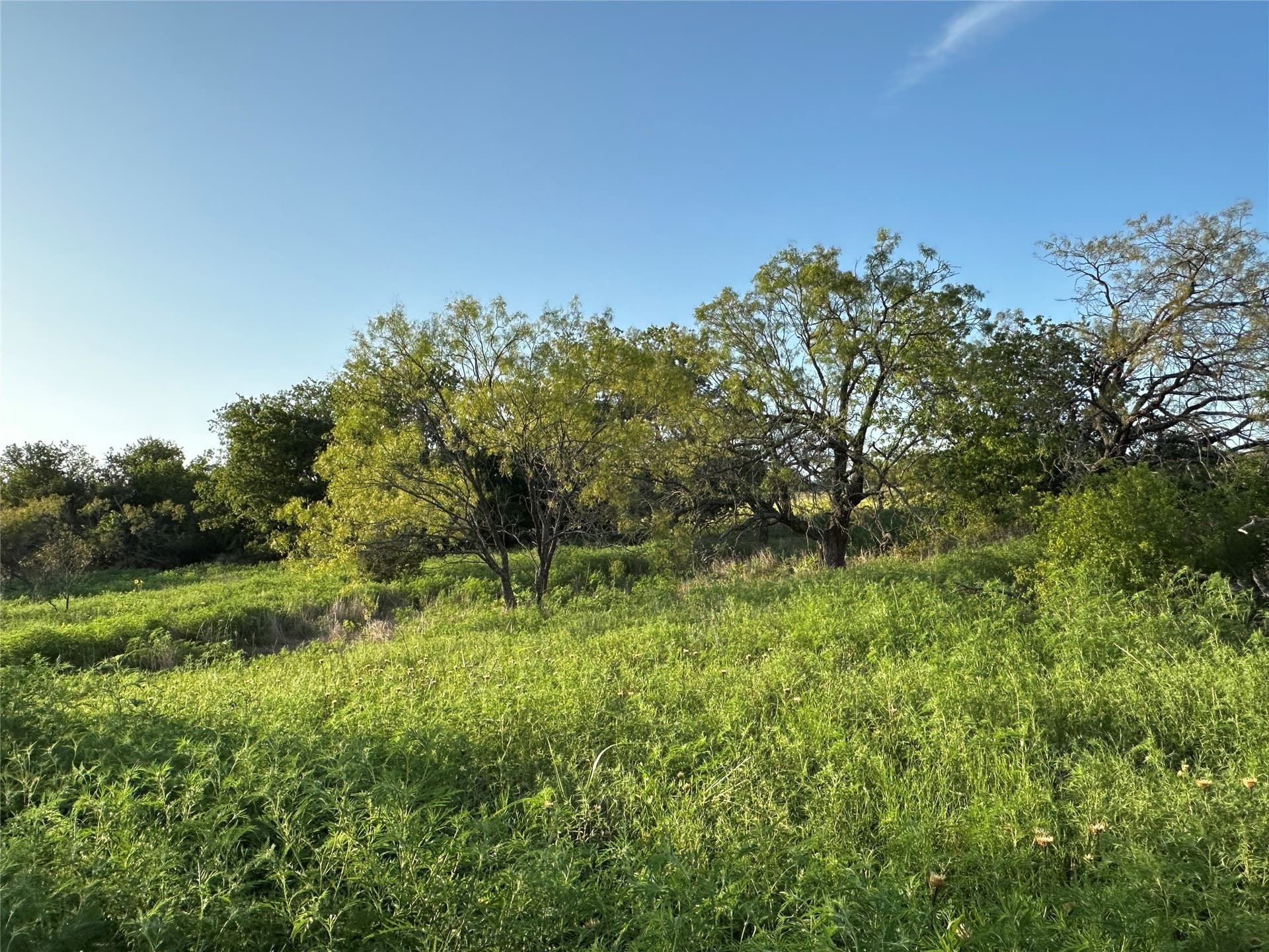 49.6 acres in Hamilton County - photo 25