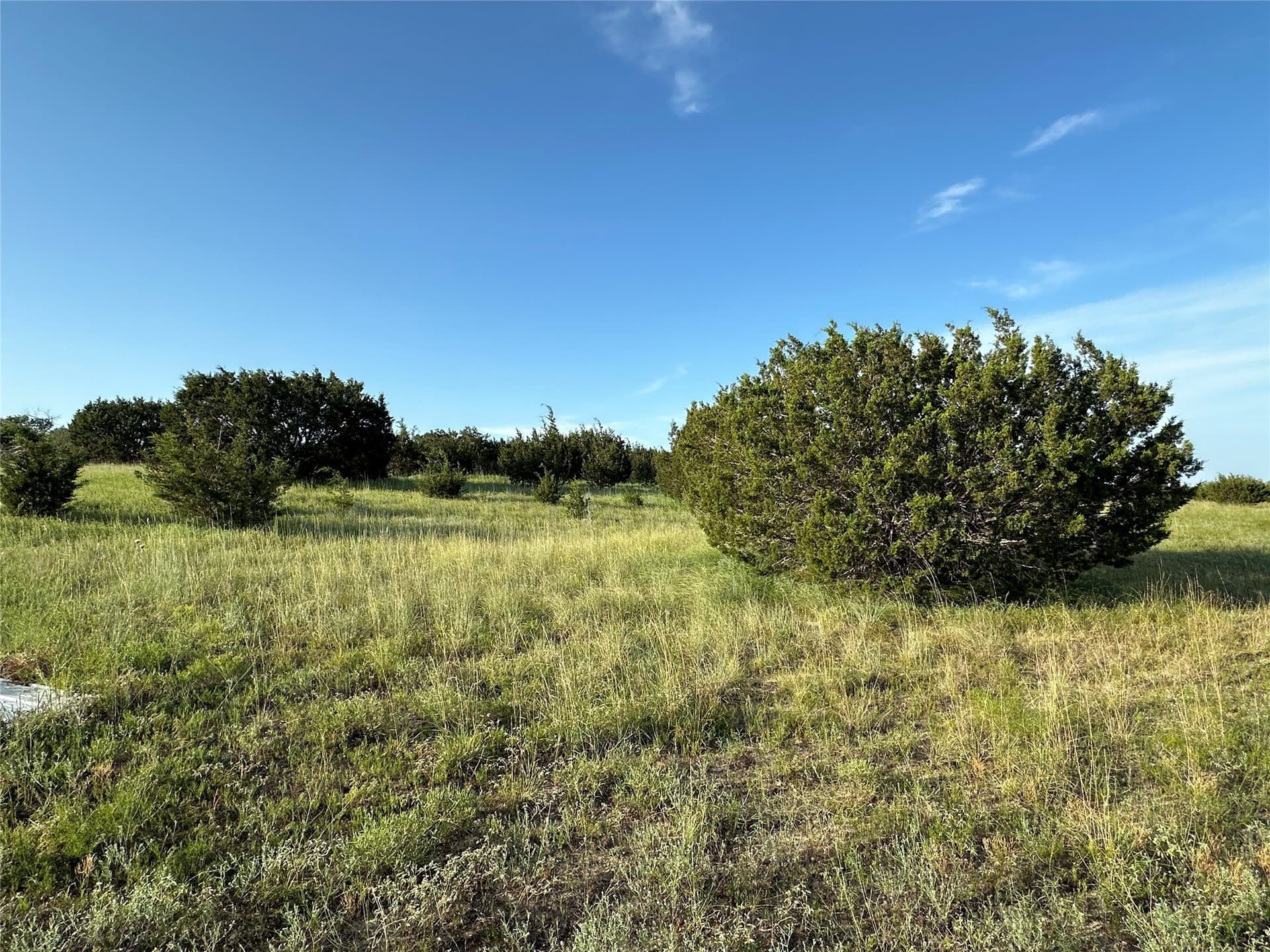 49.6 acres in Hamilton County - photo 26