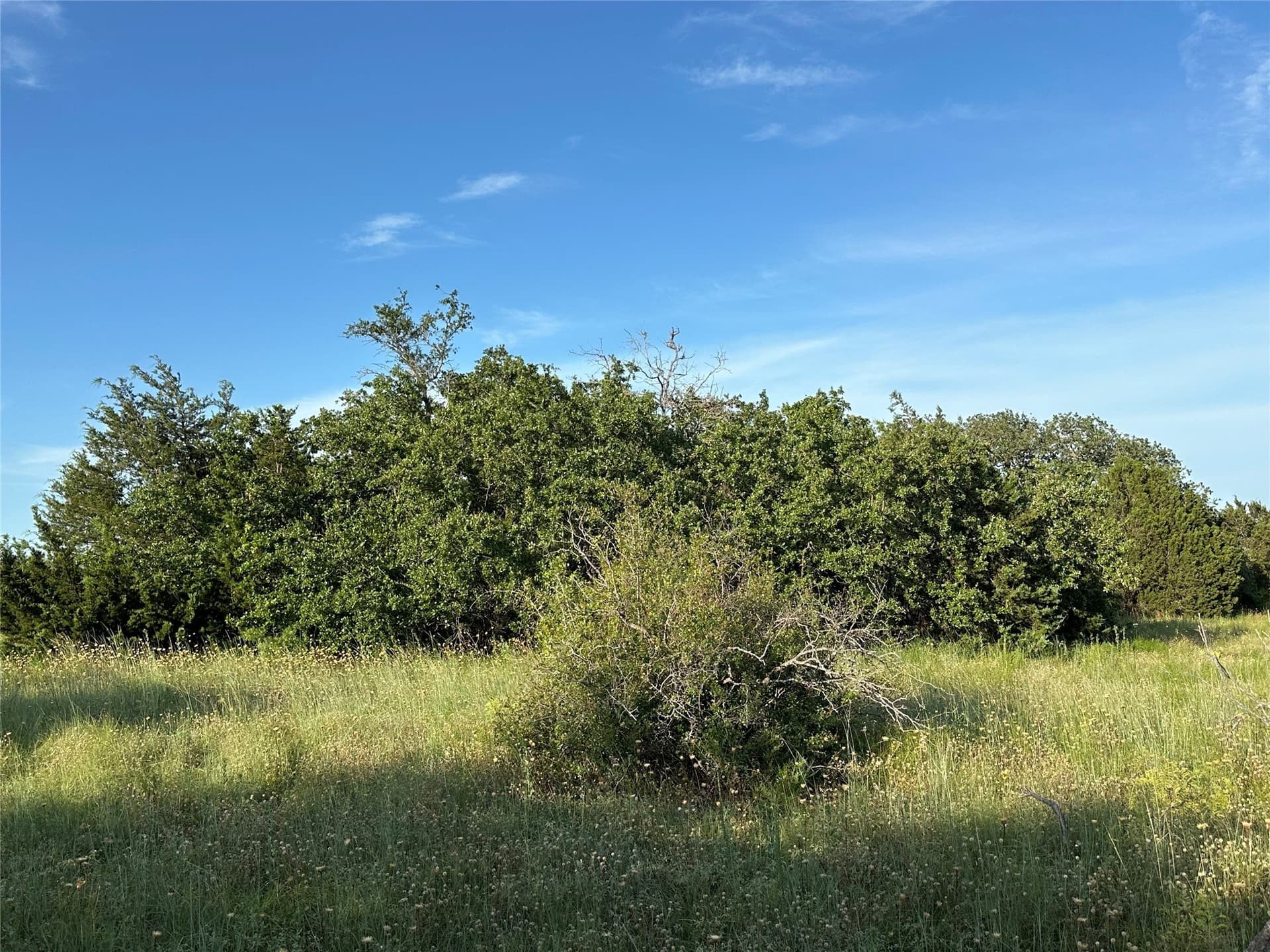 49.6 acres in Hamilton County - photo 18