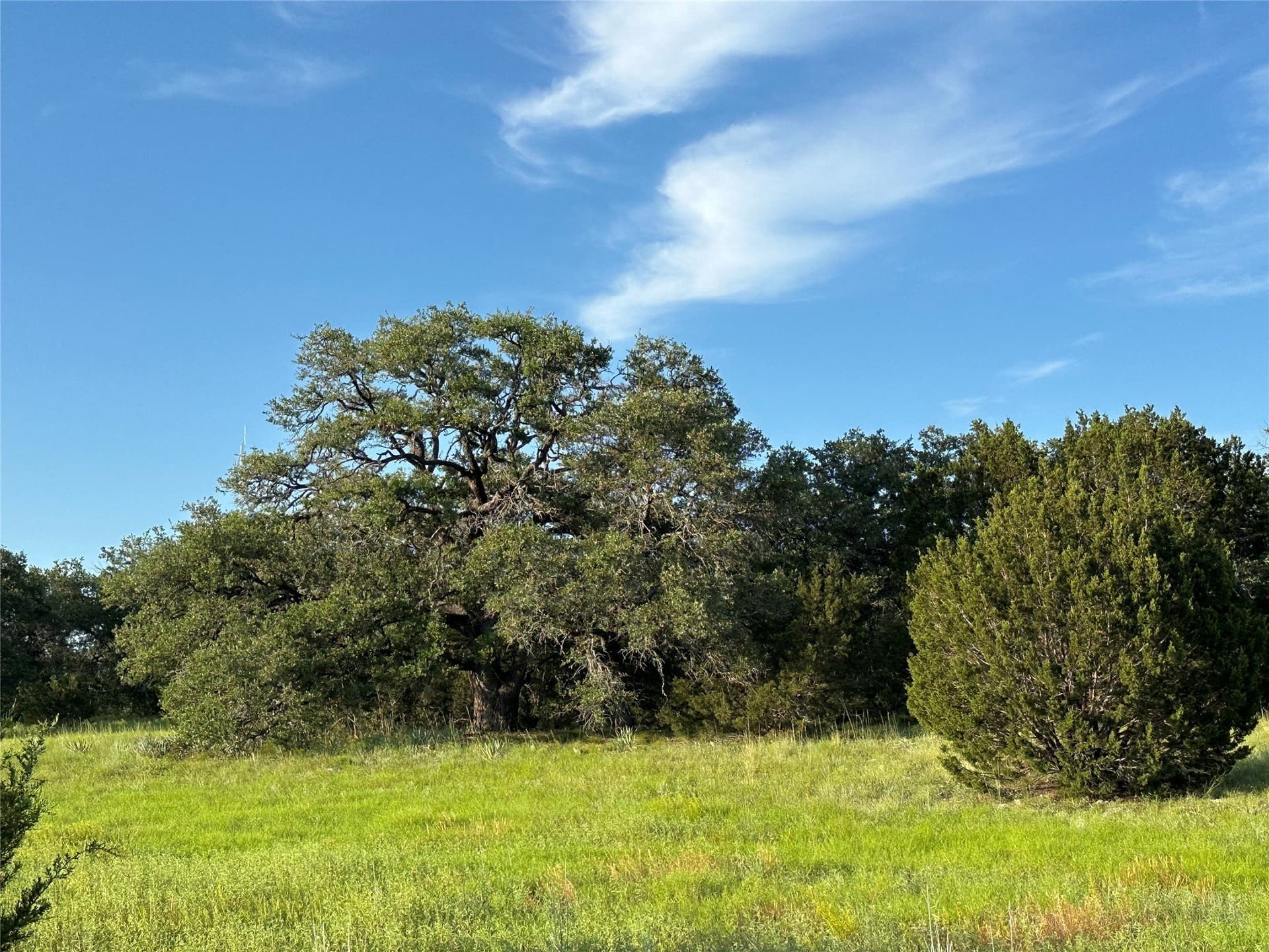 49.6 acres in Hamilton County - photo 19