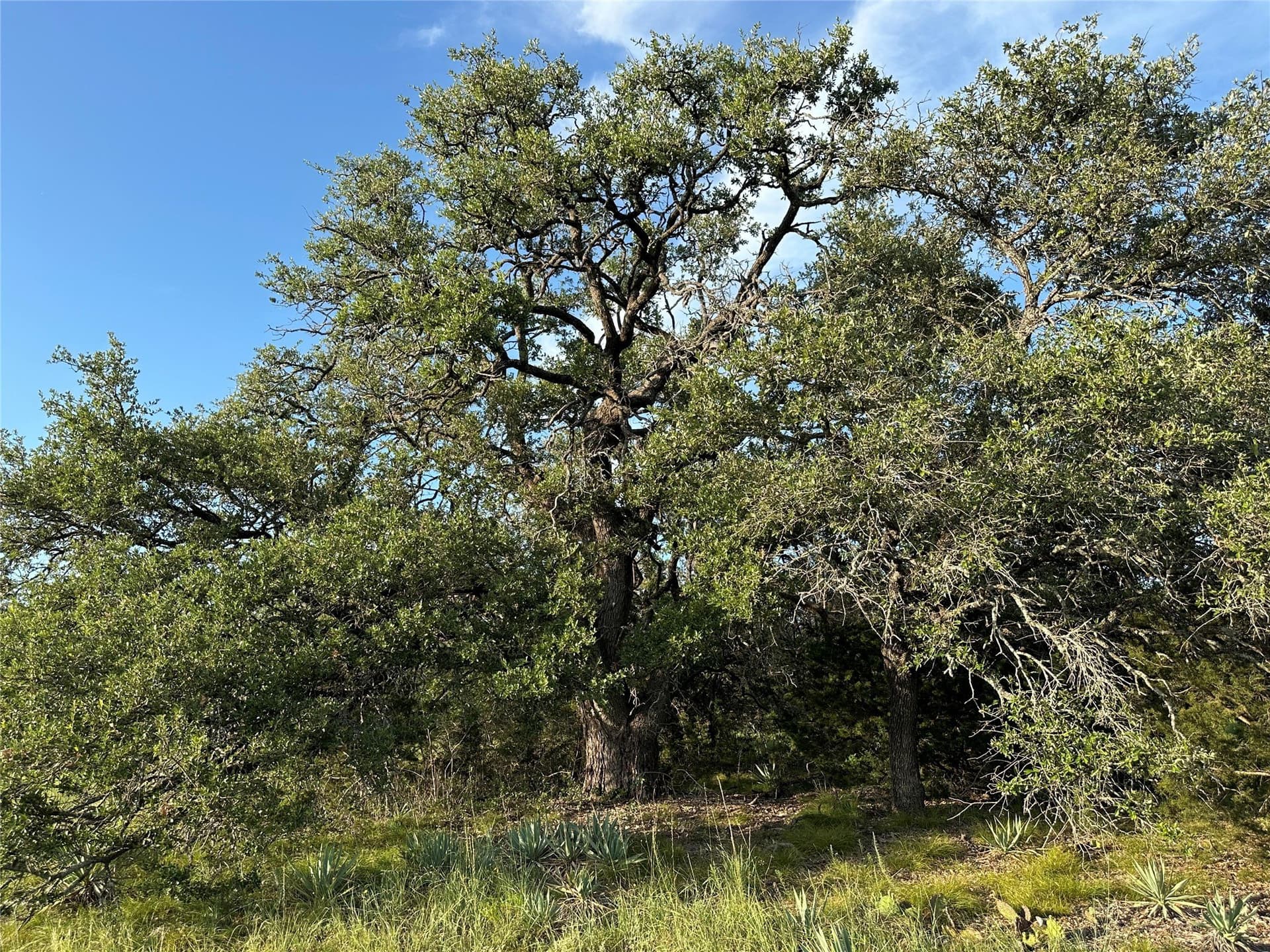 49.6 acres in Hamilton County - photo 17