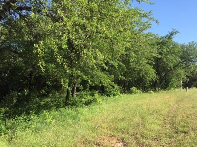 0.68 acres in Johnson County - photo 17