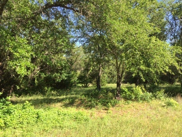 0.68 acres in Johnson County - photo 11