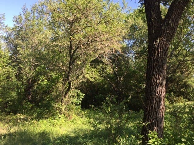 0.68 acres in Johnson County - photo 18