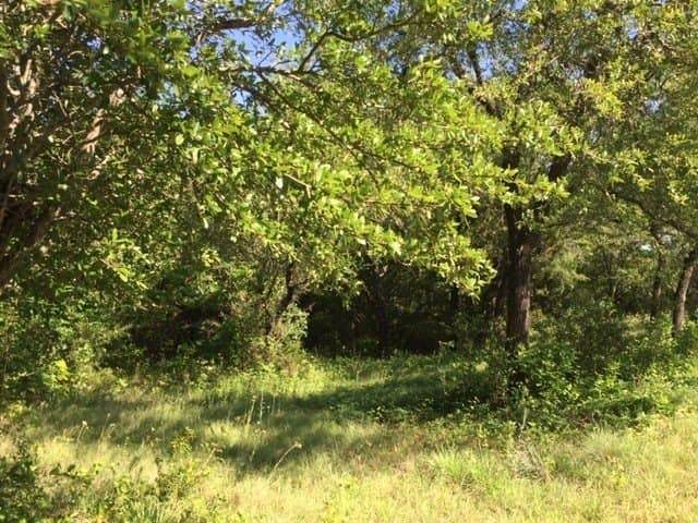 0.68 acres in Johnson County - photo 16