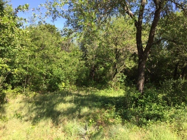 0.68 acres in Johnson County - photo 22