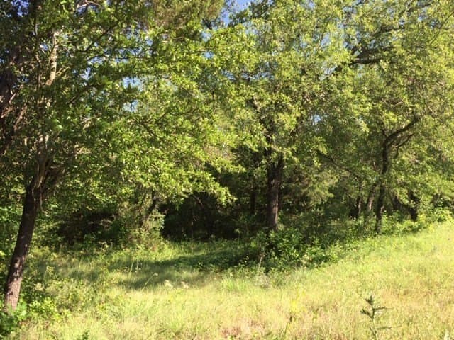 0.68 acres in Johnson County - photo 19