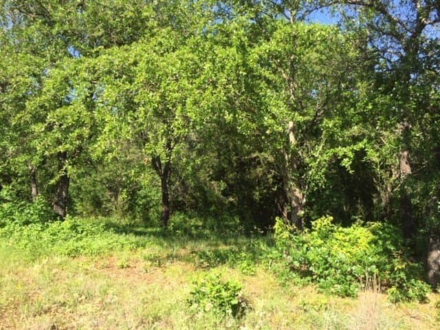 0.68 acres in Johnson County - photo 12