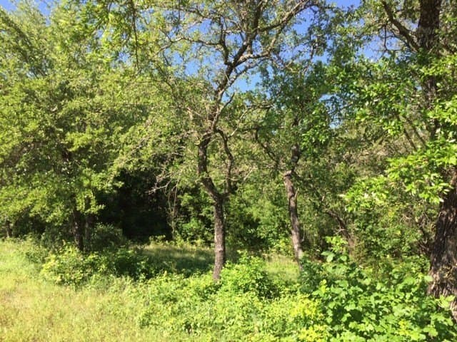 0.68 acres in Johnson County - photo 33