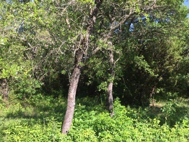 0.68 acres in Johnson County - photo 2