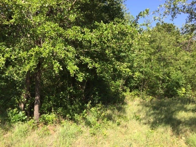 0.68 acres in Johnson County - photo 23