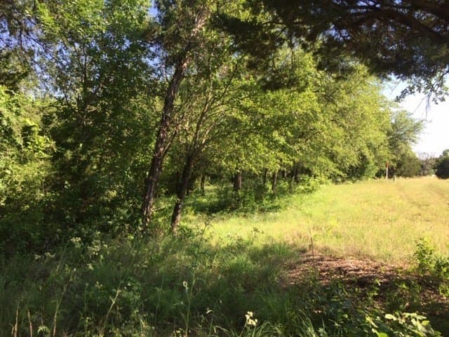 0.68 acres in Johnson County - photo 24