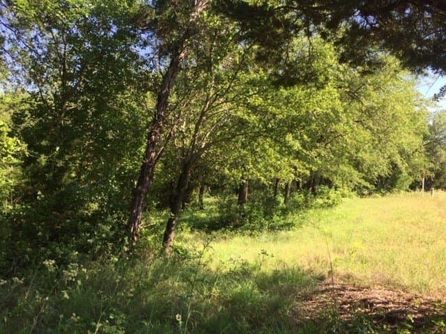 0.68 acres in Johnson County - photo 25