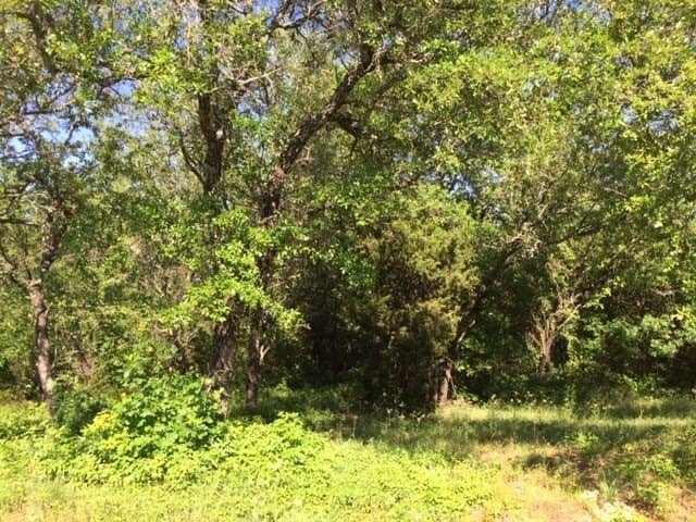 0.68 acres in Johnson County - photo 30
