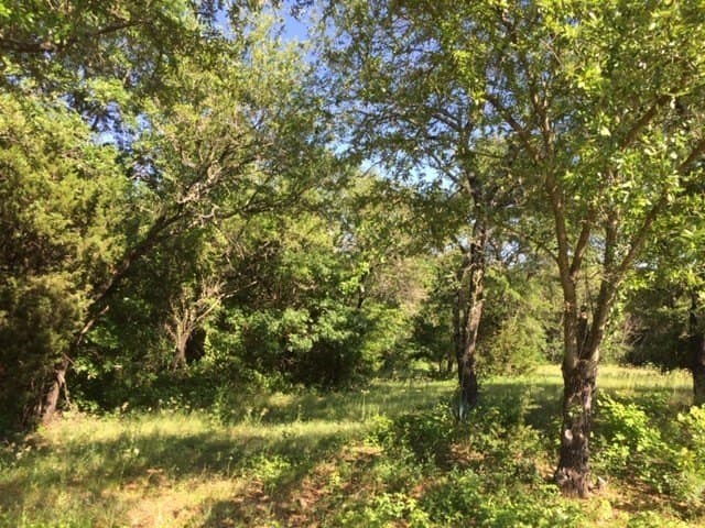 0.68 acres in Johnson County - photo 31