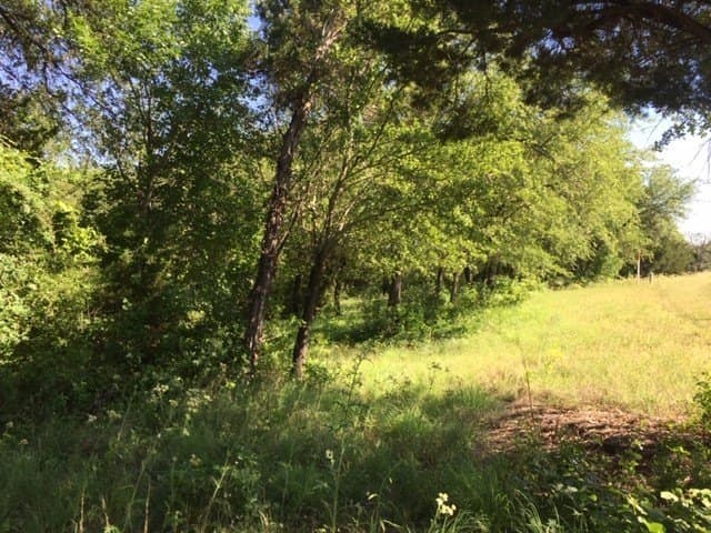 0.68 acres in Johnson County - photo 28
