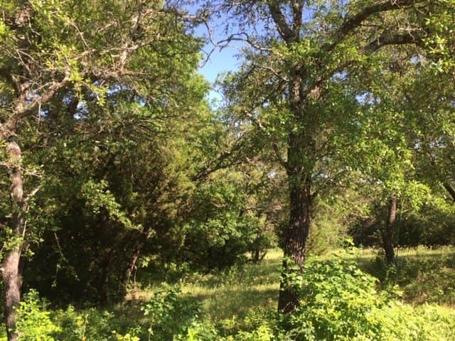 0.68 acres in Johnson County - photo 4