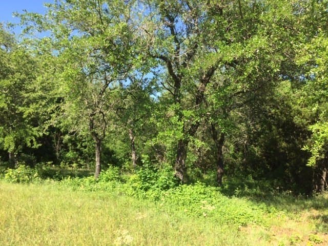 0.68 acres in Johnson County - photo 10