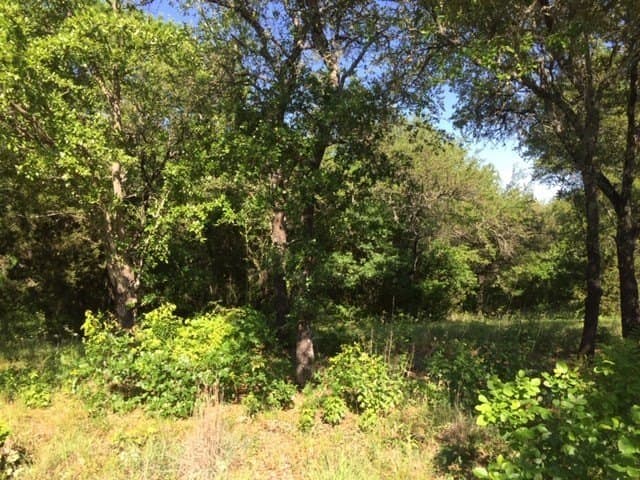 0.68 acres in Johnson County - photo 9