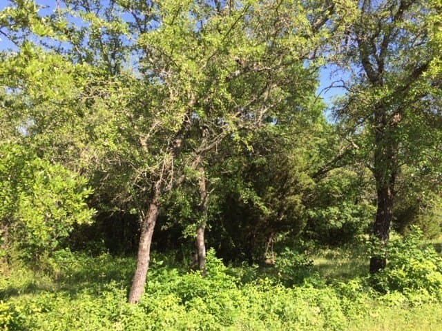 0.68 acres in Johnson County - photo 29
