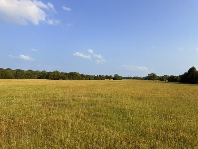 28.1 acres in Henderson County - photo 20