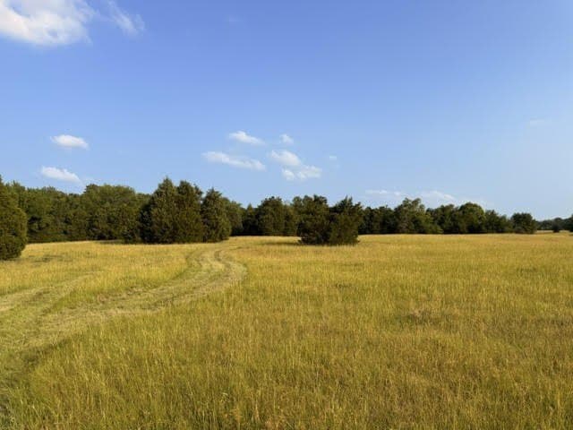 28.1 acres in Henderson County gallery image 4
