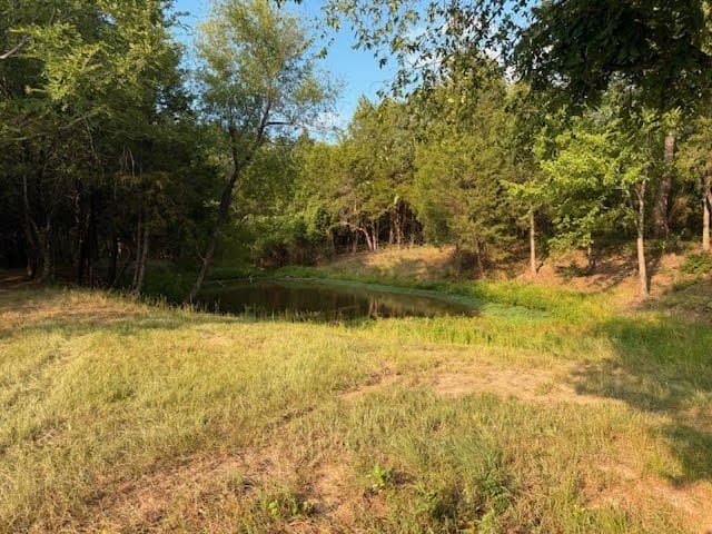 28.1 acres in Henderson County - photo 14