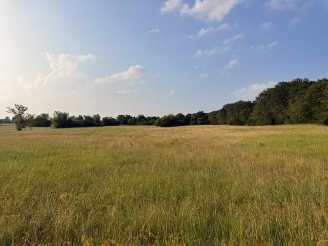 28.1 acres in Henderson County - photo 23