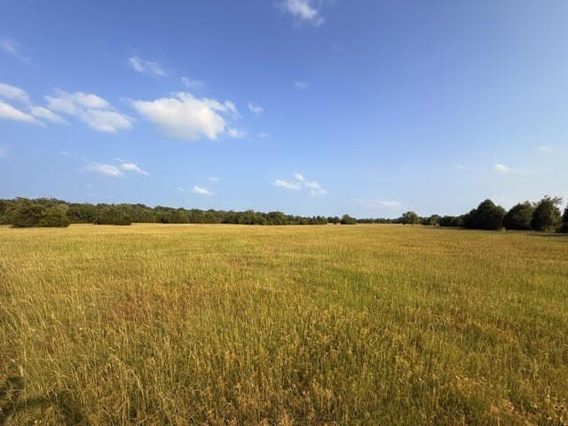 28.1 acres in Henderson County - photo 21