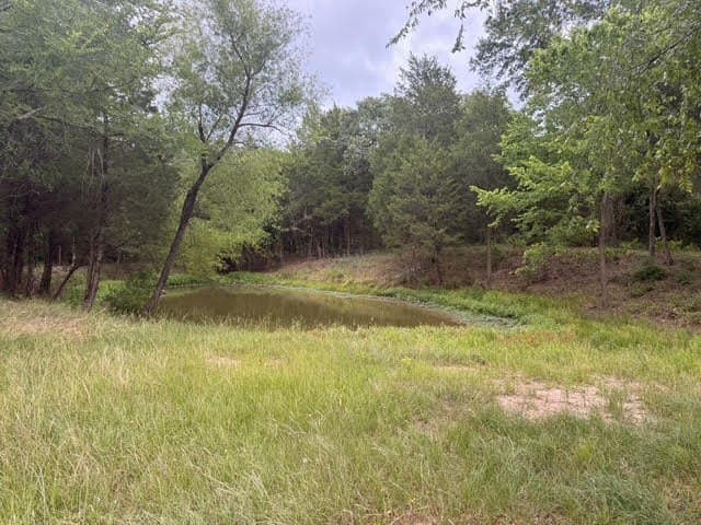 28.1 acres in Henderson County featured view