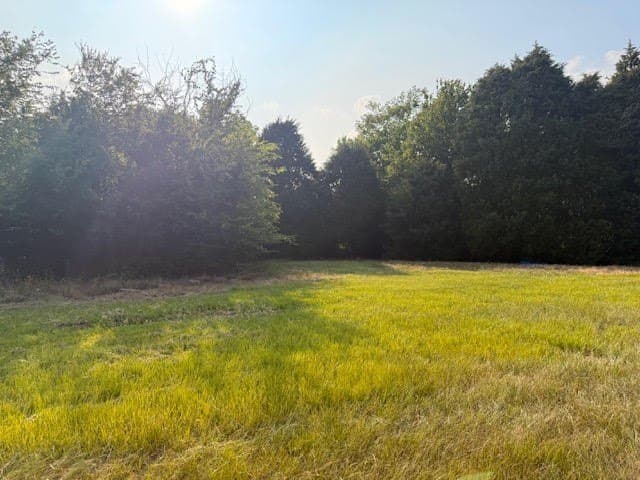 28.1 acres in Henderson County - photo 13