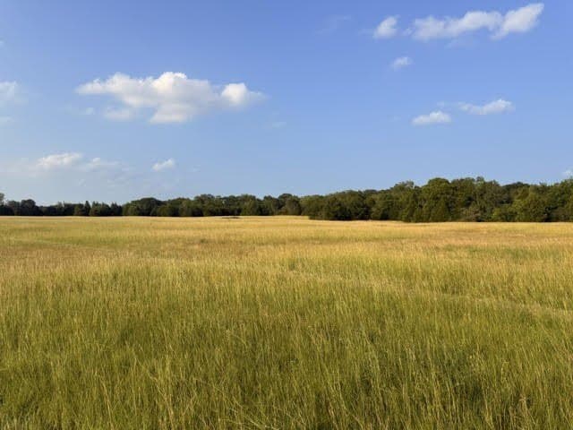 28.1 acres in Henderson County gallery image 2