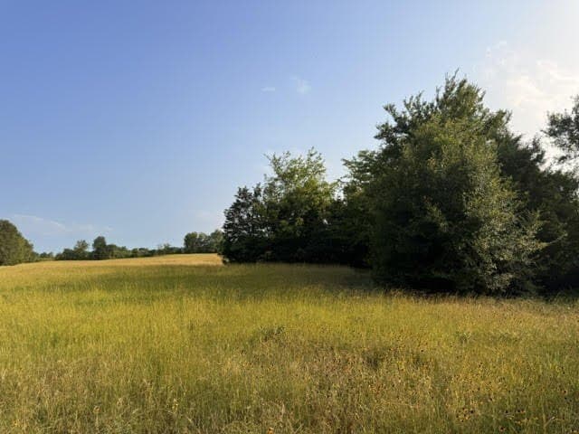 28.1 acres in Henderson County - photo 22
