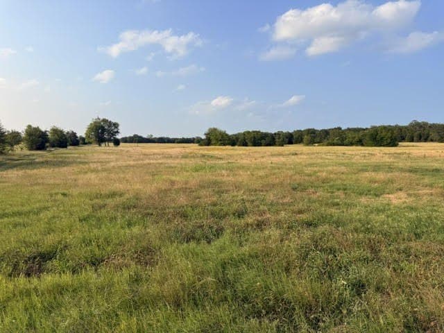 28.1 acres in Henderson County - photo 24
