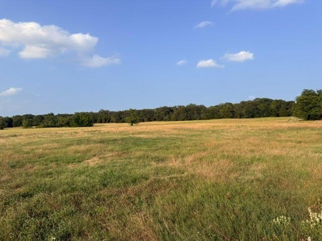 28.1 acres in Henderson County - photo 25