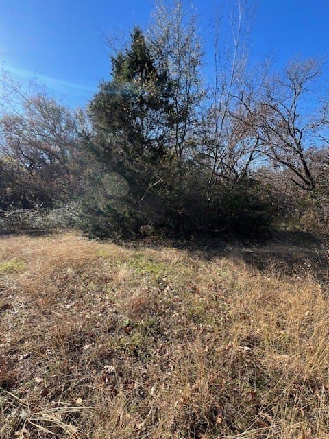 0.14 acres in Henderson County - photo 2